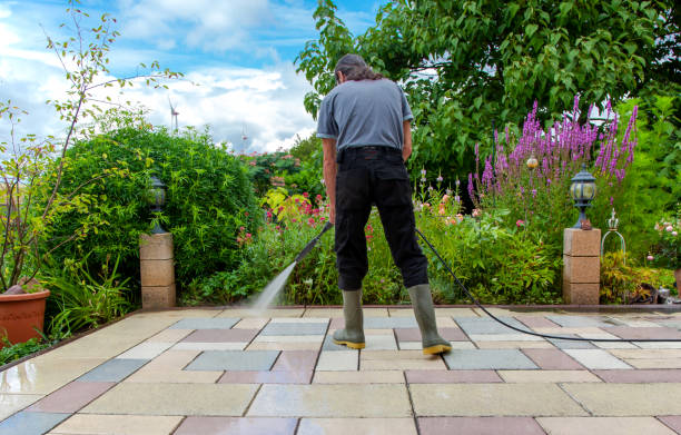 Best Driveway Pressure Washing  in South Corning, NY